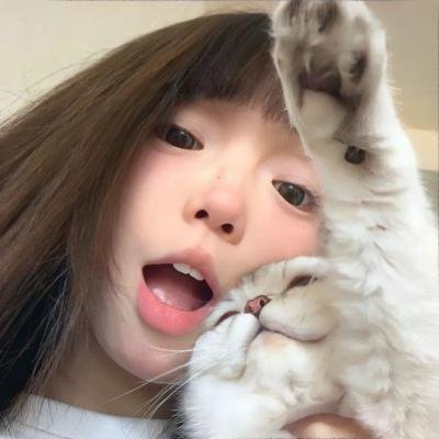 非法图利